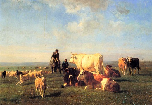 Cows and Sheep Grazing